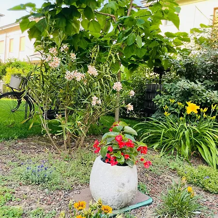 فيلة Casa Piero, Relax E Piscina Privata Tra Le Colline Delle Langhe *