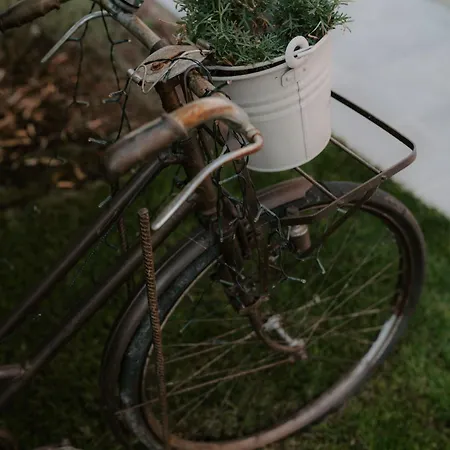 Вилла Casa Piero, Relax E Piscina Privata Tra Le Colline Delle Langhe Альба