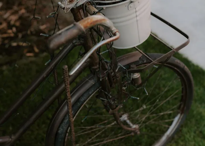Villa Casa Piero, Relax E Piscina Privata Tra Le Colline Delle Langhe Alba (Piedmont)